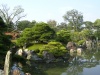 Japanese Garden In Kyoto