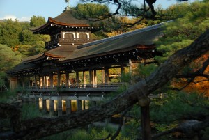 https://www.flickr.com/photos/69362954@N00/
Rokuon ji deer garden temple kyoto autumn leaves japan